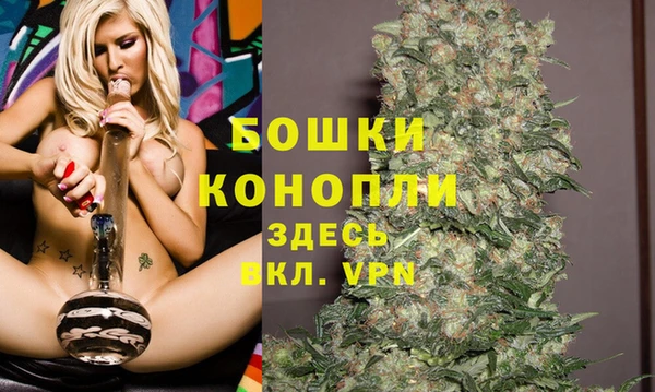spice Ельня
