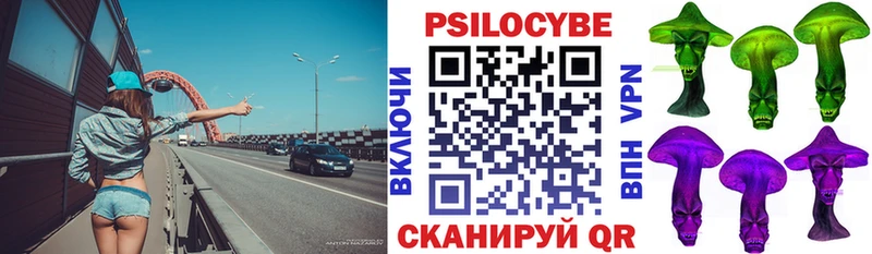Псилоцибиновые грибы MAGIC MUSHROOMS  Купить закладки  Снежногорск 