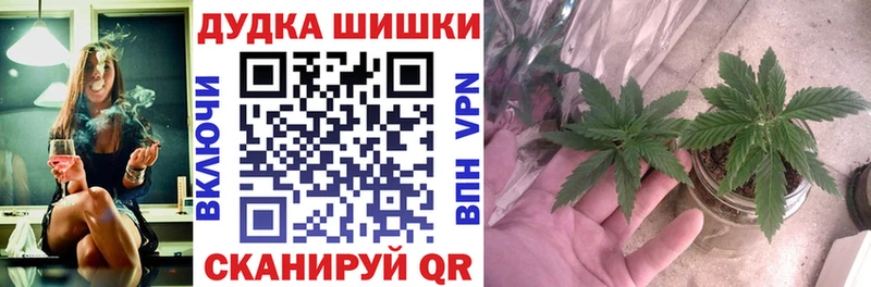 Каннабис семена  Купить где  Снежногорск 